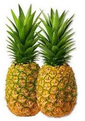 Fresh pineapple, Type : Fruit