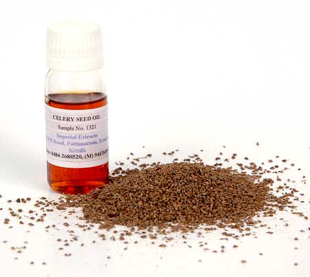 Celery Seed Oil, For Reduces Joint Problem, Nervousness, Headache, Feature : Exhaustion, Good Quality