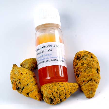Curcuma Aromatica Oil, Purity : 100.00%