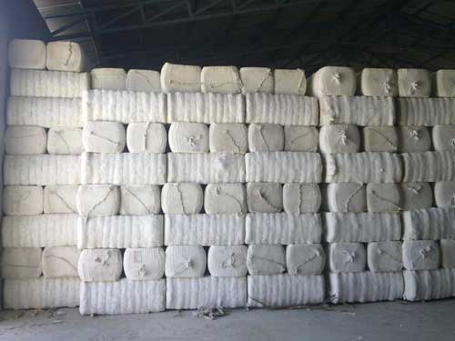 Cotton Bales