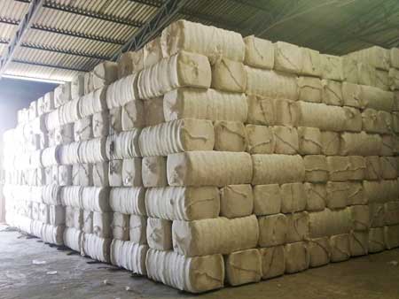 Cotton Bales