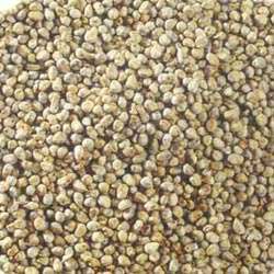 Millet, Packaging Size : 10kg, 25kg, 50Kg, 5-25kg
