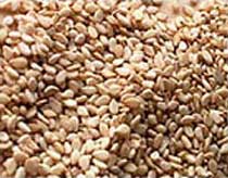 Natural Sesame Seeds