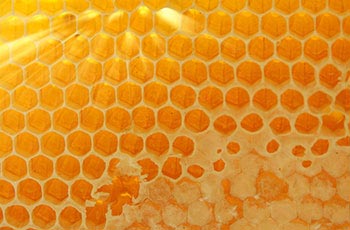 Raw Natural Honey