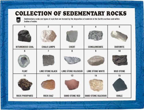 Sedimentary Rocks