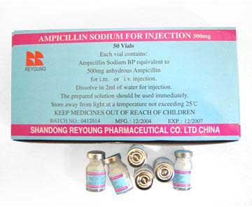 Ampicillin Sodium