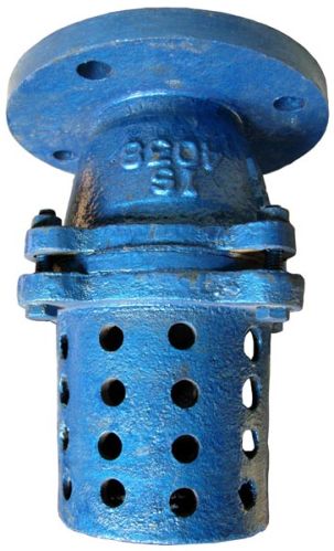 Cast Iron Foot Valve