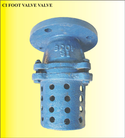 Foot Valve