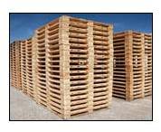 Pine Wood Pallet