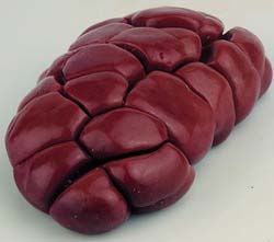 Frozen Buffalo Kidney, For Cooking, Food, Feature : Delicious Taste, Healthy To Eat, High Value