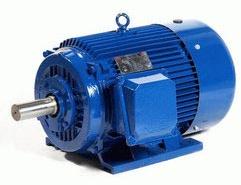 Heavy Duty Induction Motor