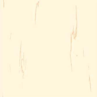 607 X 607 Porcelain Floor Tiles