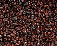 Roasted Coffee Beans, Shelf Life : 6 Months