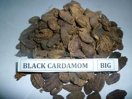 Black cardamom Form : Pods