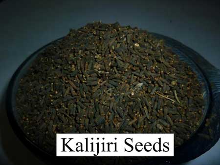 Black Cumin Seeds, Origin : Organically Grown
