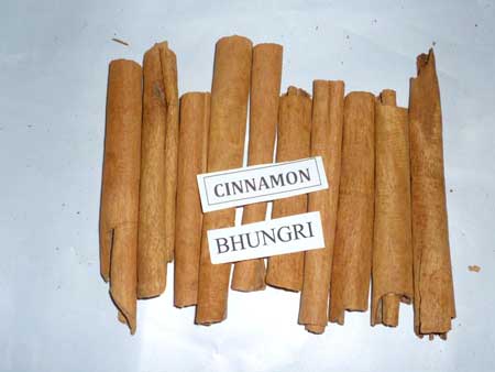 Cinnamon Stick, Cultivation Type : Natural