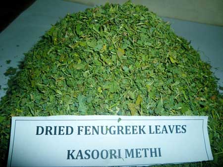 Dried fenugreek leaves, Storage Condition : Dried