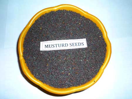 Mustard seeds, Moisture : 12%