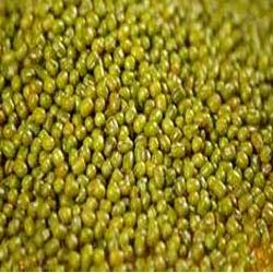 Green Mung Beans