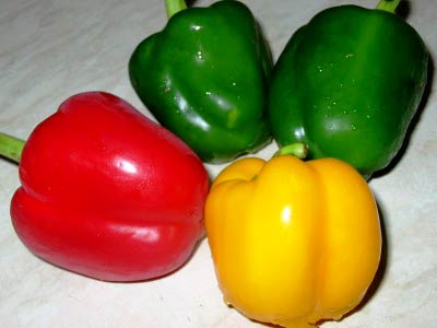 Fresh Capsicum, Shelf Life : 10-15 Days