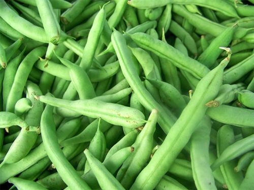 Fresh Green Beans