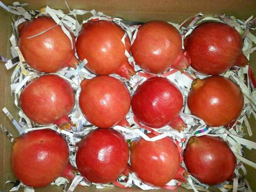 Fresh pomegranate, Packaging Size : 5-25kg
