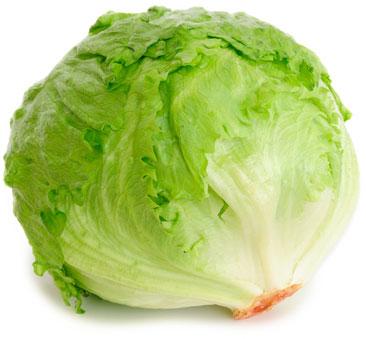 Round Common Fresh Iceberg Lettuce, For Good Health, Hygienically Packed, Packaging Type : Paper Box