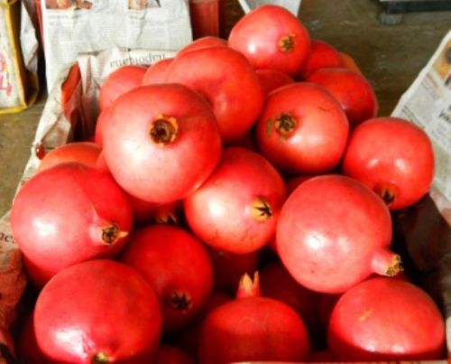 Bhagawa Fresh Pomegranate, Variety : Bhagwa Ganesh