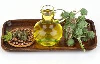 Castor Seed Oil, Feature : Quality Assured