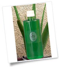 Aloe Vera Hair Shampoo