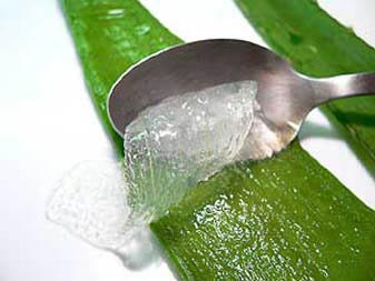 Aloe Vera Juice