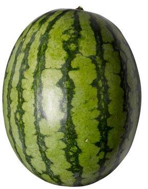 Fresh Watermelon