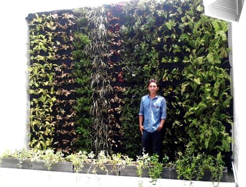 Cheap Vertical Garden