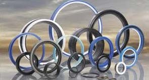 Hydraulic Seals