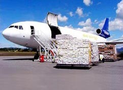 Air Cargo Services