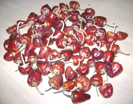 Mundu Chillies