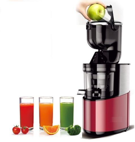 Blueberry Slow Juicer