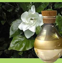 Gardenia Oil, For Cosmetics, Industrial, Perfumery, Reducing Swelling, Purity : 100%