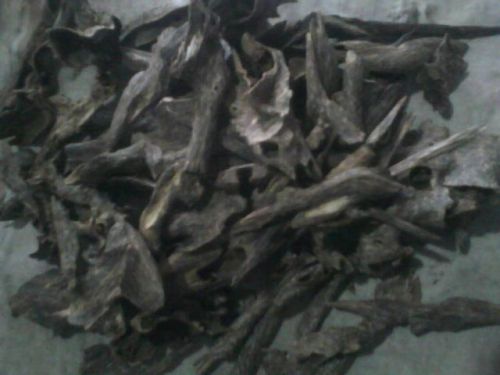 Indian Agarwood Chips Grade A, Model Number : MKE