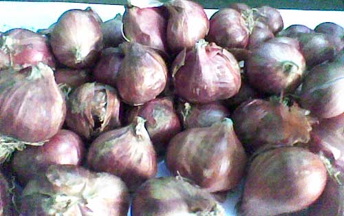 Small Onions