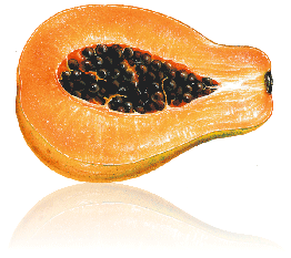 Fresh Papaya Pulp