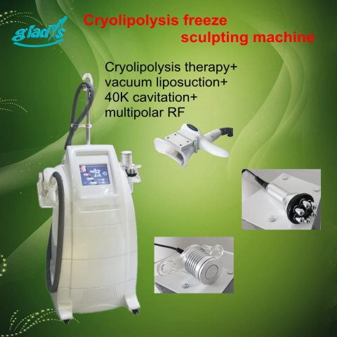 RF Fat Burning Slimming Machine, Brand Name : GLADYS