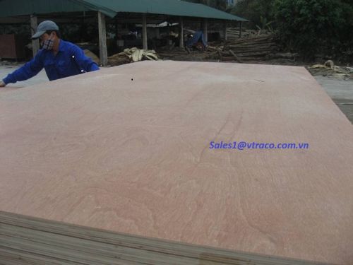 Commercial plywood, Application : Connstruction, Furniture, Home Use