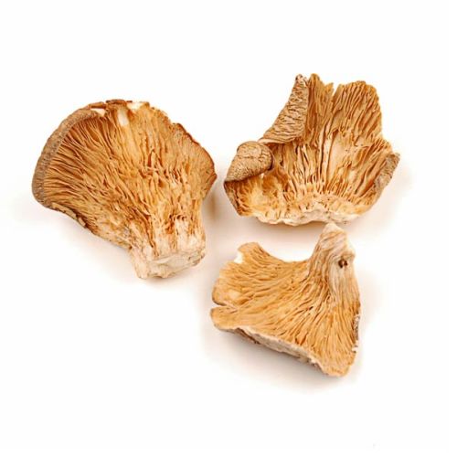 Natural Dried Oyster Mushrooms for Cooking, Restaurant