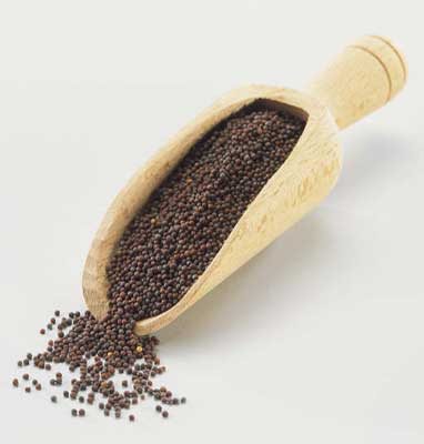 Mustard seeds, Packaging Type : Plastic Bag