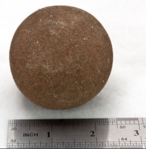 Bezoar Ox Gallstones