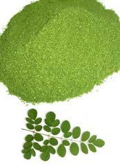 Moringa Oleifera Powder