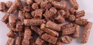 Biomass Pellet