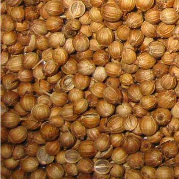 Coriander Seeds