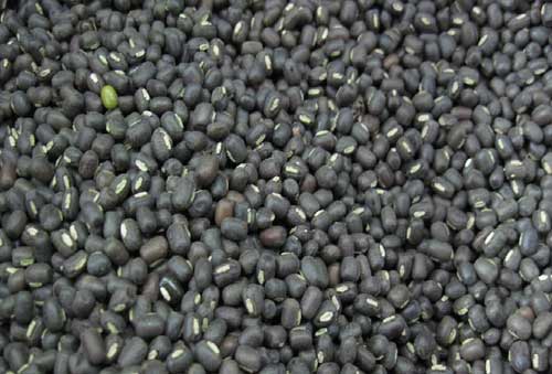 Urad Dal